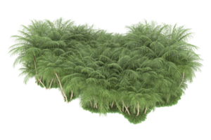 Realistic forest isolated on transparent background. 3d rendering - illustration png