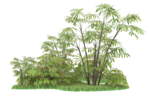 forêt réaliste isolée sur fond transparent. rendu 3d - illustration png