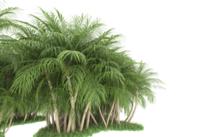 forêt réaliste isolée sur fond transparent. rendu 3d - illustration png