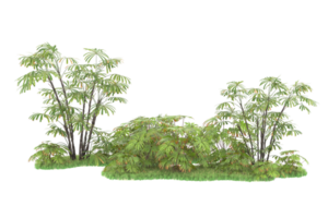 Realistic forest isolated on transparent background. 3d rendering - illustration png