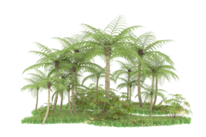 Realistic forest isolated on transparent background. 3d rendering - illustration png