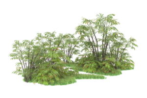 Realistic forest isolated on transparent background. 3d rendering - illustration png