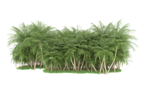 Realistic forest isolated on transparent background. 3d rendering - illustration png