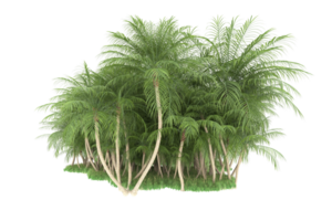 forêt réaliste isolée sur fond transparent. rendu 3d - illustration png