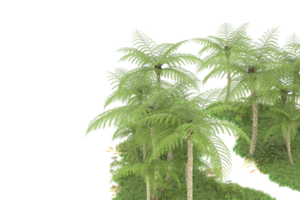 Realistic forest isolated on transparent background. 3d rendering - illustration png