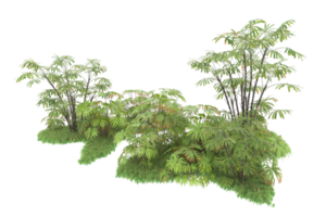 forêt réaliste isolée sur fond transparent. rendu 3d - illustration png