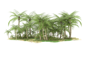 Realistic forest isolated on transparent background. 3d rendering - illustration png