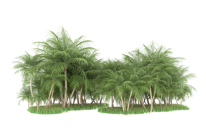 Realistic forest isolated on transparent background. 3d rendering - illustration png