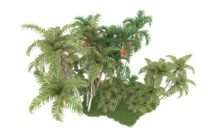 Realistic forest isolated on transparent background. 3d rendering - illustration png