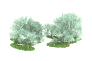 Realistic forest isolated on transparent background. 3d rendering - illustration png