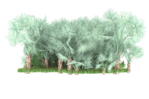 Realistic forest isolated on transparent background. 3d rendering - illustration png