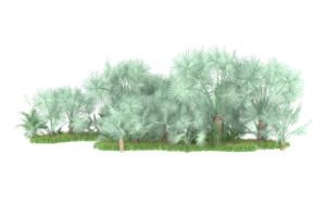 Realistic forest isolated on transparent background. 3d rendering - illustration png