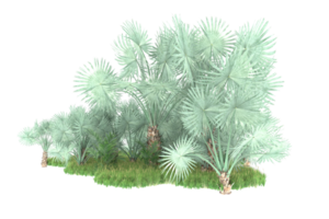 Realistic forest isolated on transparent background. 3d rendering - illustration png