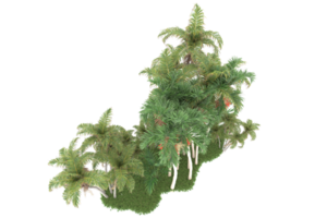 Realistic forest isolated on transparent background. 3d rendering - illustration png