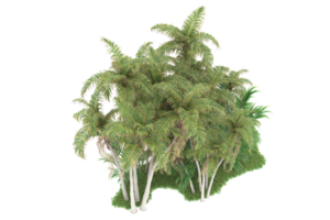 Realistic forest isolated on transparent background. 3d rendering - illustration png