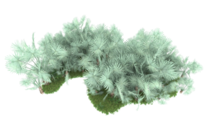 Realistic forest isolated on transparent background. 3d rendering - illustration png
