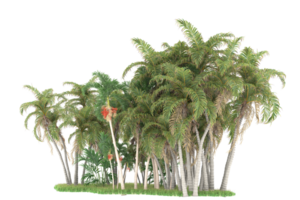 forêt réaliste isolée sur fond transparent. rendu 3d - illustration png