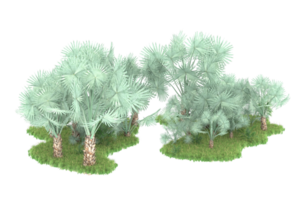 Realistic forest isolated on transparent background. 3d rendering - illustration png