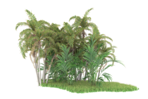 Realistic forest isolated on transparent background. 3d rendering - illustration png