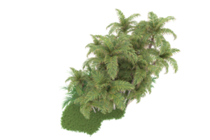 Realistic forest isolated on transparent background. 3d rendering - illustration png