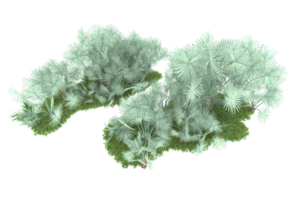 Realistic forest isolated on transparent background. 3d rendering - illustration png
