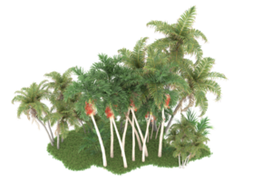 Realistic forest isolated on transparent background. 3d rendering - illustration png