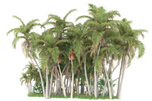 Realistic forest isolated on transparent background. 3d rendering - illustration png