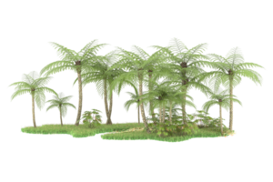 Realistic forest isolated on transparent background. 3d rendering - illustration png
