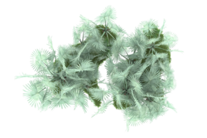 Realistic forest isolated on transparent background. 3d rendering - illustration png