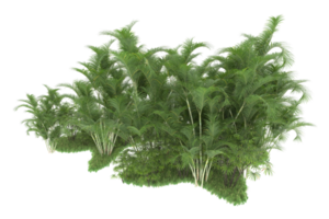 forêt réaliste isolée sur fond transparent. rendu 3d - illustration png