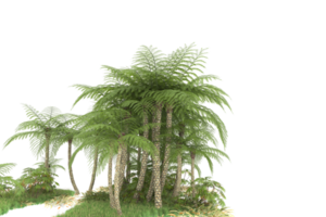 Realistic forest isolated on transparent background. 3d rendering - illustration png