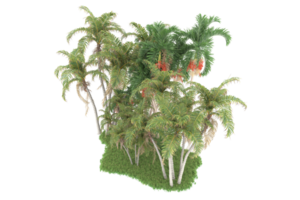 Realistic forest isolated on transparent background. 3d rendering - illustration png