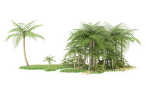 Realistic forest isolated on transparent background. 3d rendering - illustration png