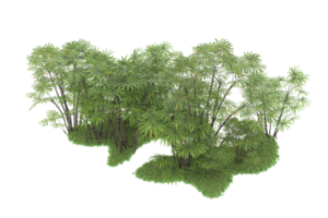 Realistic forest isolated on transparent background. 3d rendering - illustration png