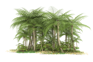 Realistic forest isolated on transparent background. 3d rendering - illustration png