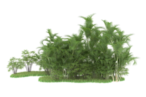 Realistic forest isolated on transparent background. 3d rendering - illustration png