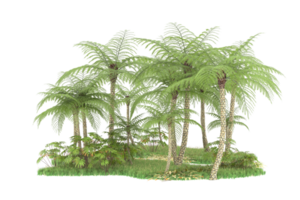 Realistic forest isolated on transparent background. 3d rendering - illustration png