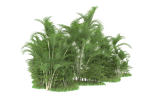 forêt réaliste isolée sur fond transparent. rendu 3d - illustration png