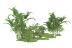 Realistic forest isolated on transparent background. 3d rendering - illustration png