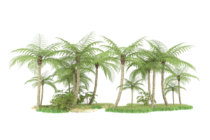 Realistic forest isolated on transparent background. 3d rendering - illustration png