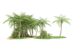 Realistic forest isolated on transparent background. 3d rendering - illustration png