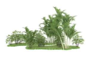 Realistic forest isolated on transparent background. 3d rendering - illustration png