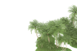 forêt réaliste isolée sur fond transparent. rendu 3d - illustration png