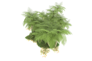 forêt réaliste isolée sur fond transparent. rendu 3d - illustration png