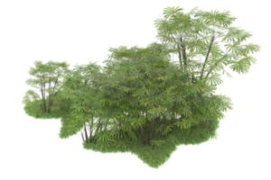 forêt réaliste isolée sur fond transparent. rendu 3d - illustration png