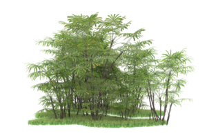 Realistic forest isolated on transparent background. 3d rendering - illustration png