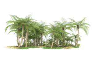 Realistic forest isolated on transparent background. 3d rendering - illustration png