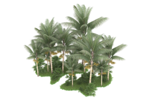 forêt réaliste isolée sur fond transparent. rendu 3d - illustration png