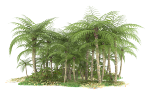 Realistic forest isolated on transparent background. 3d rendering - illustration png