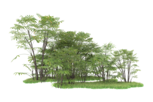 Realistic forest isolated on transparent background. 3d rendering - illustration png